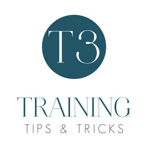 T3 Training Programs