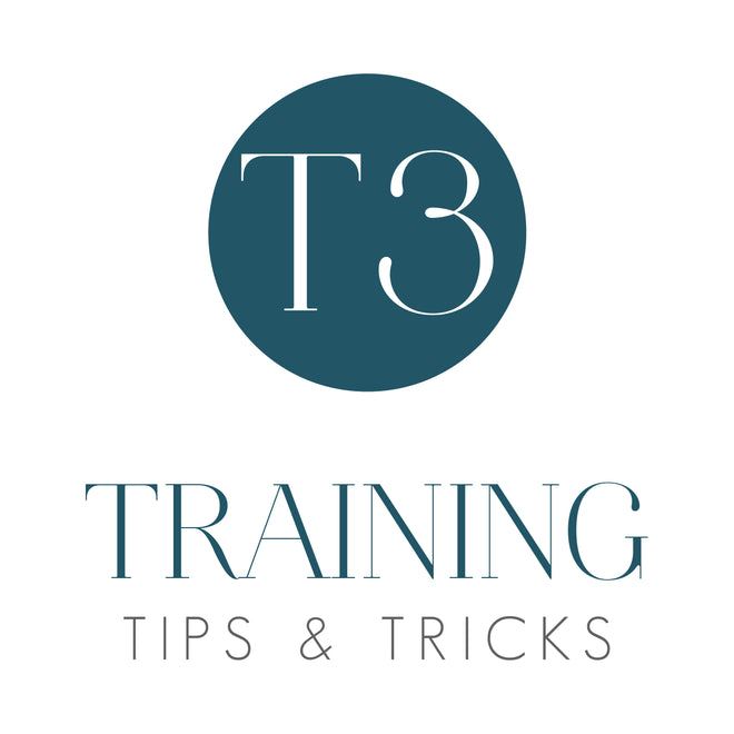 T3 Training Programs