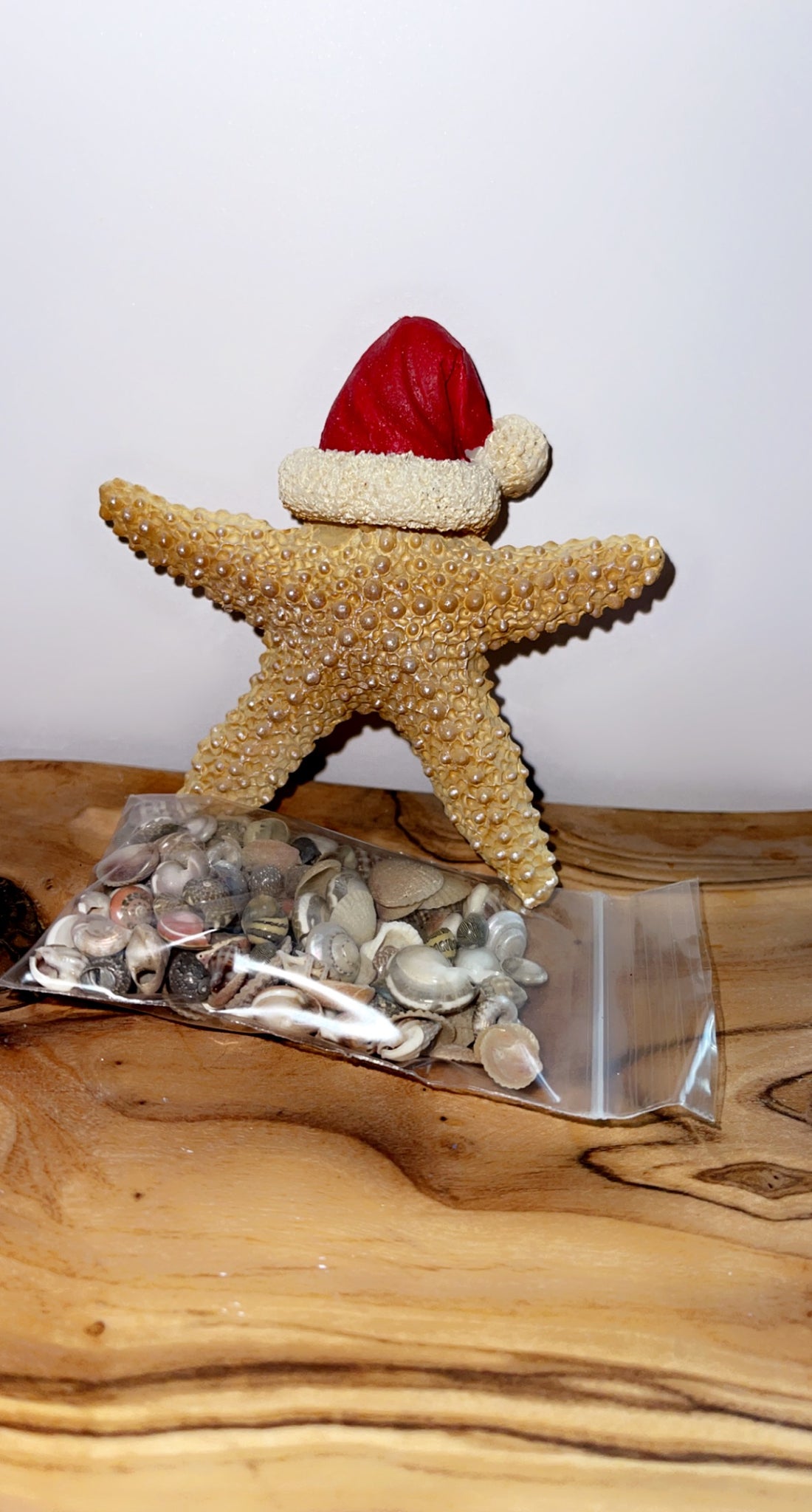 Holiday Starfish and seashells