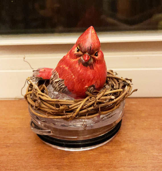 Cardinal and Nest